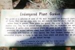 Endangered Plant Garden, NOFV01P08_13