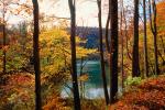 Woodland, Forest, Trees, Hill, Lake, autumn, water, deciduous, Equanimity, NORV01P02_12.1260