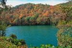 Woodland, Forest, Trees, Hill, Lake, autumn, water, deciduous, NORV01P02_14.1260