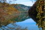 Reflecting Lake, Woodland, Forest, Trees, Hill, autumn, water, deciduous, NORV01P02_18.1260