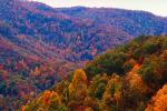 Mountain, Woodland, Forest, Trees, Hills, Valley, autumn, deciduous, Equanimity, NORV01P04_11.1260