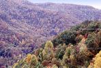 Mountain, Woodland, Forest, Trees, Hills, Valley, autumn, deciduous, NORV01P04_11