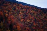 Woodland, Forest, Trees, Hills, Mountains, deciduous, autumn, NORV01P07_02.0624