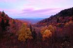 Woodland, Forest, Trees, Hills, Mountains, Valley, autumn, deciduous, NORV01P07_13.1260