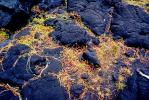 Lava, the Big Island, NPHV01P09_01.1261