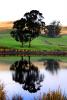 Trees, Hills, Pond, Reflection, Reservoir, Lake, Water, NPND03_160