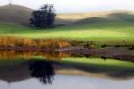Trees, Hills, Pond, Reflection, Reservoir, Lake, Water, NPND03_165