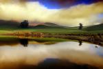 clouds, Trees, Hills, Pond, Reflection, Reservoir, Lake, Water, NPND03_167