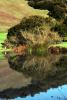 Pond, Hills, Trees, Reflection, Lake, Reservoir, Water, fields, NPND03_256
