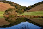 Pond, Hills, Trees, Reflection, Lake, Reservoir, Water, fields, NPND03_258