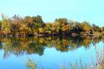 fall colors, autumn, Sacramento River, water, trees, reflection, NPND05_059