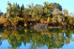 fall colors, autumn, water, trees, reflection, Sacramento River, NPND05_060