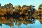 fall colors, autumn, Sacramento River, water, trees, reflection, NPND05_061