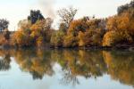 fall colors, autumn, Sacramento River, water, trees, reflection, NPND05_063