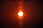 Sun Reflecting in Bolinas Lagoon, Sunset, NPND06_024