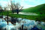 Valley Ford, Fence, Flooding, Sonoma County, NPNV01P09_11.1264