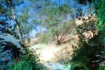 Bill Valley, Lake County, pond, water, reflection, NPNV01P14_13