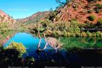 Putah Creek, Solano Lake, Hills, reflection, water, Solano County, NPNV02P15_09.1266