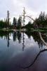 Lake, trees, reflection, water, NPNV06P01_02