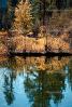 Lake, Water, Reflection, Trees, pond, Fall Colors, autumn, NPNV07P14_18.2568