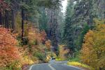 S-Curve, Road, Roadway, Forest, Trees, Fall Colors, Autumn, NPSD01_294