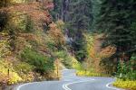 S-Curve, Road, Roadway, Forest, Trees, Fall Colors, Autumn, NPSD02_006