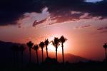 Palm Trees and a Sunset, Palm Springs, NPSV01P13_05