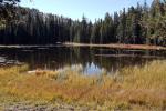 Small Lake west of Tenaya, Reflections, Water, Trees, NPYD01_042