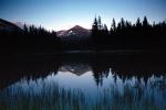 Reflection, Trees, Forest, Mountain Peak, water grass, NPYV01P07_16
