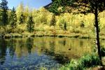 Mountain, Forest, Trees, Woodland, Lake, Reflections, Pond, Fall Colors, Autumn, NSCV03P11_02