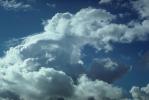 Tiburon, Marin County, California, daytime, daylight, cumulus, NWSV02P04_06.2862