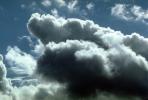Tiburon, Marin County, California, daytime, daylight, cumulus, NWSV02P04_11.2862