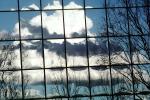 Glass Panes, Reflection, Bare Tree, daytime, daylight, NWSV17P09_13