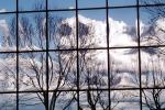 Glass Panes, Reflection, Bare Tree, daytime, daylight, NWSV17P10_01
