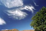 Cirrus Clouds, daytime, daylight, whispy, wispy, wisps, whisp, NWSV20P05_14.0494