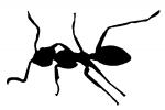 silhouette of an Ant, shape, OEAV01P01_03M