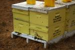 Bee Keeper Hives, OEBD01_145