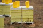 Bee Keeper Hives, OEBD01_147