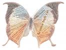 Butterfly in Many Languages, Word Mosaic, Graphic, translations, Wings, Abstract, OECD01_176
