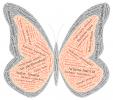 Butterfly in Many Languages, Word Mosaic, Graphic, translations, Wings, Abstract, OECD01_177