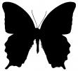 Wings, Butterfly Wings Silhouette, shape, OECD01_184M