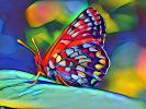 Magical Butterfly of Color, Wings, Abstract, OECD01_187