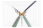 Cavalcade of Butterfly, OECD01_210
