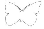 outline, Butterfly, Wings, line drawing, shape, OECV02P08_12O