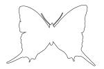 outline, Butterfly, Wings, line drawing, shape, OECV02P09_05O