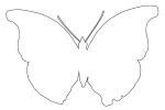 Outline Butterfly, Wings, line drawing, shape, OECV02P09_09O