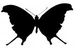 Butterfly silhouette, Wings, logo, shape, OECV02P09_10M