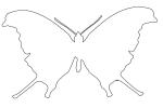 Butterfly outline,  Wings, line drawing, shape, OECV02P09_10O