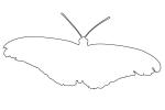 outline, line drawing, shape, OECV02P11_07O