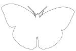 Butterfly outline, line drawing, shape, OECV02P14_14O